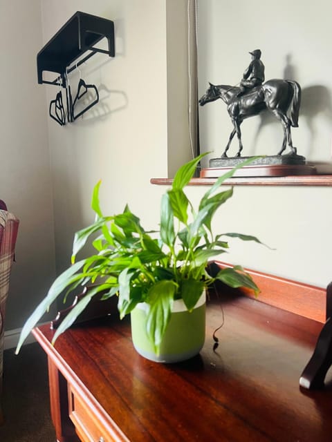 Acrewood House Vacation rental in County Dublin