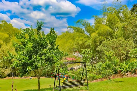 Children play ground, Garden, Garden view