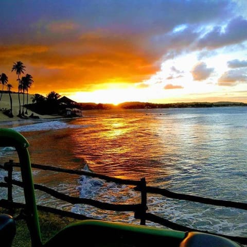 Nearby landmark, Beach, Sunset