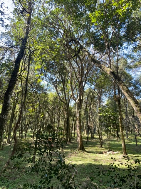 Jasy del monte Campground/ 
RV Resort in Misiones Province, Argentina