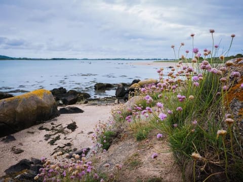 Rive gauche (bord de mer) Casa in Saint-Vaast-la-Hougue