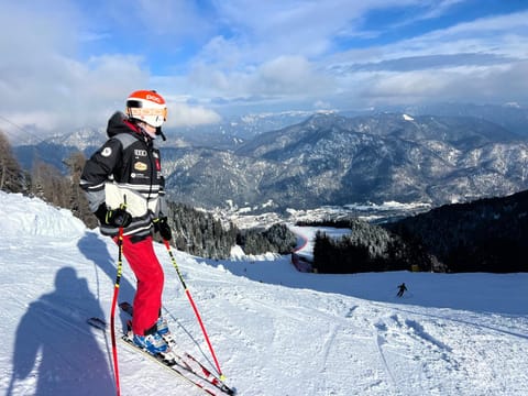 Dear Veronica Apartment in Tarvisio