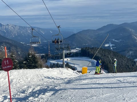 Dear Veronica Apartment in Tarvisio