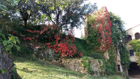 Natural landscape, Garden