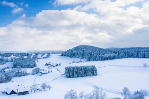 Wunderschönes Ferienhaus in Schloß Rosenau mit Offenerem Kamin House in South Bohemian Region