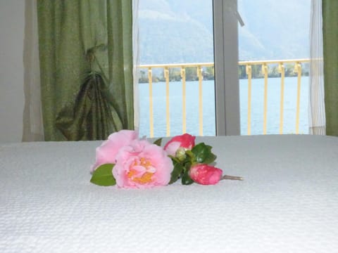 Casa Conti al Lago Condominio in Ascona