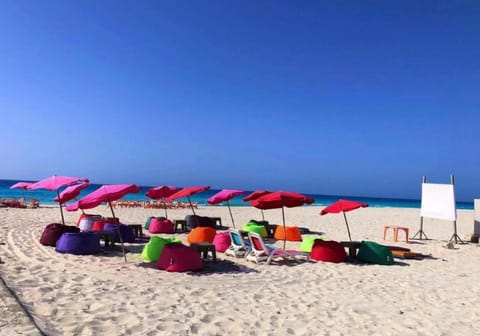 Day, People, Natural landscape, Beach, Sea view, group of guests, sunbed