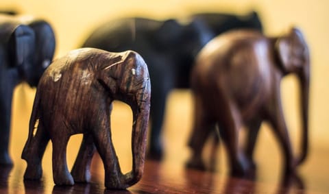 Other, Decorative detail