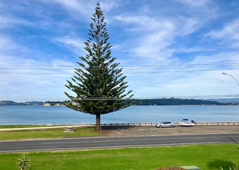 Natural landscape, Sea view