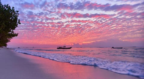 Sunset Surfing Villas Mentawai Hotel in West Sumatra, Indonesia