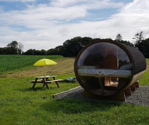 Tonneau bulle insolite, vue sur vignoble Luxury tent in Douarnenez