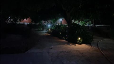 Night, Garden view