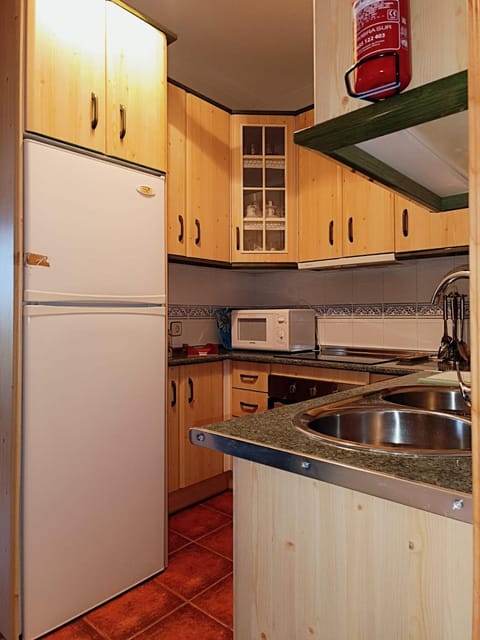 Kitchen or kitchenette, minibar, pet friendly, stove