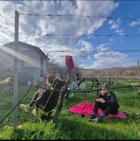 Spring, Day, Garden, group of guests