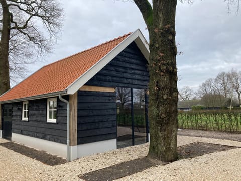 Property building, Spring, Day, Garden