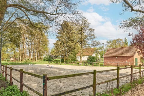 Natural landscape, Garden view