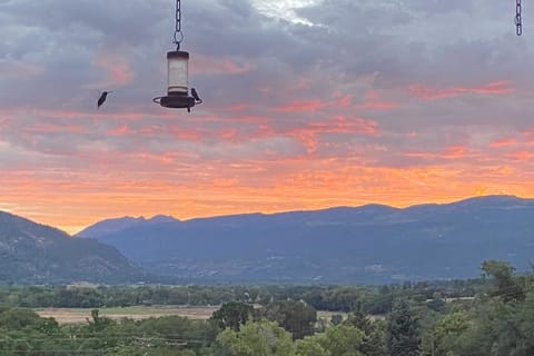 Pine Rock Estate House in La Plata County