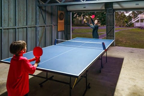 Table tennis, group of guests