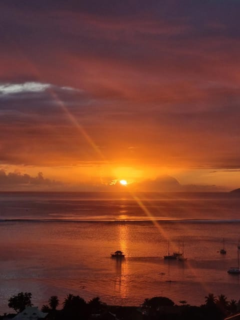 Natural landscape, Sea view, Sunset