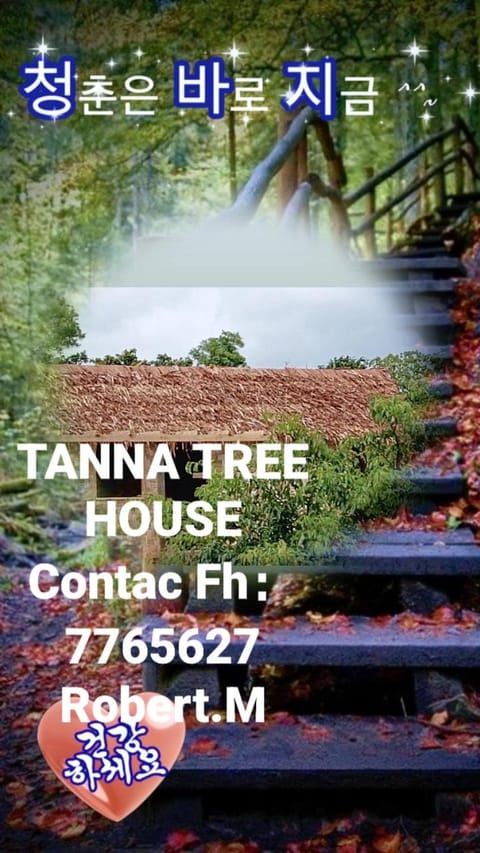Tanna tree house and bangalows Condominio in Vanuatu