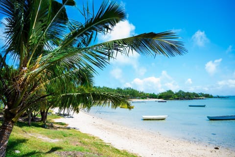 Nearby landmark, Day, Natural landscape, Beach