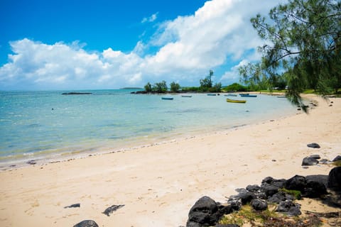 Nearby landmark, Natural landscape, Beach