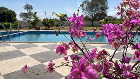 RAJ HOME STAY Farm Stay in Mysuru