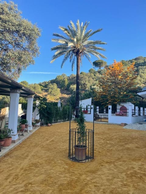 Casa Rural Los Menestrales Country House in Sierra Norte de Sevilla