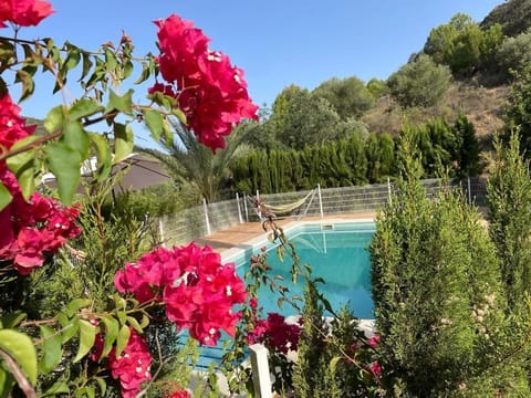 Casa Rural Los Menestrales Country House in Sierra Norte de Sevilla