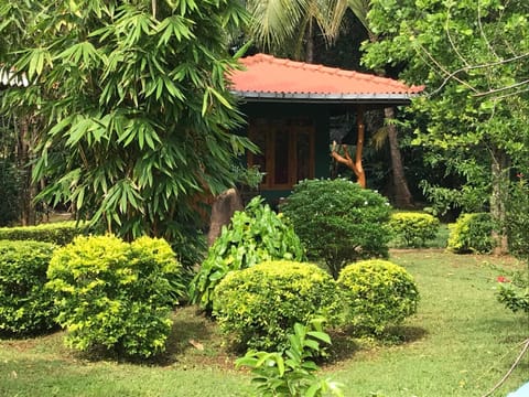 Liyon Rest Bed and Breakfast in Dambulla