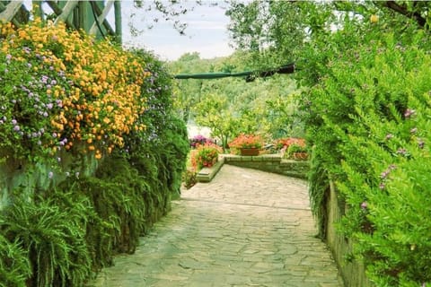 Spacious villa with garden&spa Villa in Sorrento