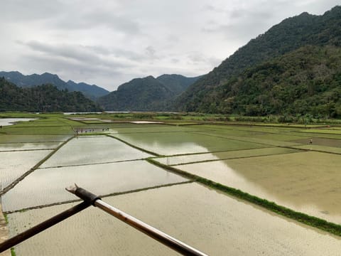 Dat Diem homestay-wooden floor house Vacation rental in Laos