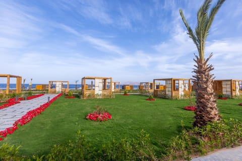 Rixos Radamis Sharm El Sheikh Resort in Sharm El-Sheikh
