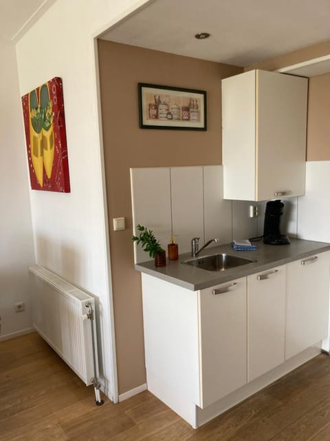 Kitchen or kitchenette, dishwasher, oven, stove