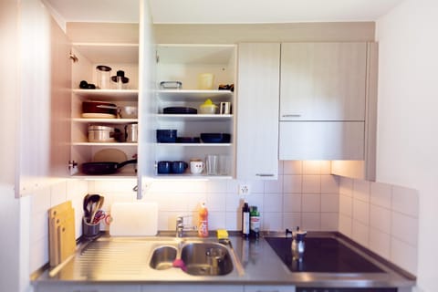 Communal kitchen, stove, kitchen