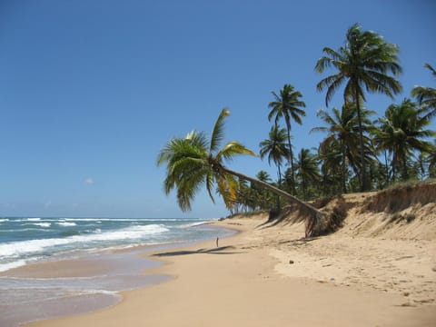 Paribahia Condo in State of Bahia