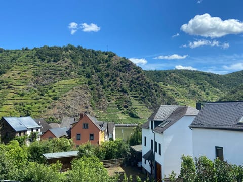 View (from property/room), River view