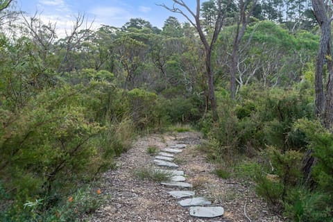 Sandbox House Luxury Architectural Retreat House in Wentworth Falls