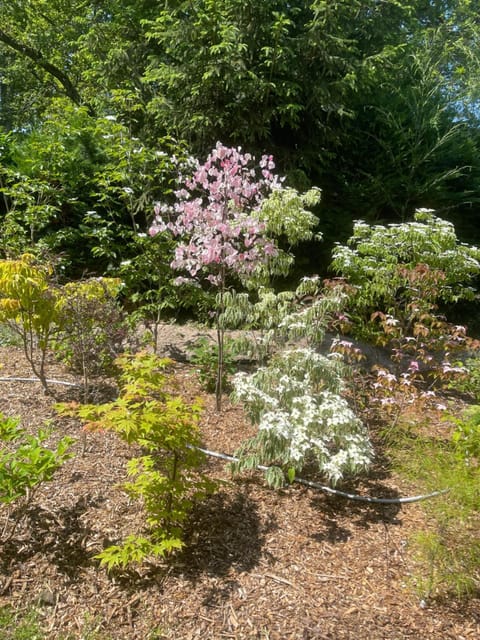 Un jardin en forêt House in Fontainebleau