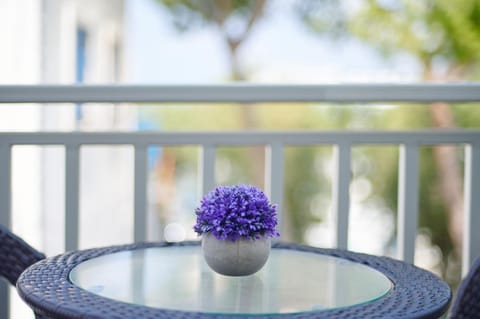 Patio, Day, View (from property/room), Balcony/Terrace, Dining area