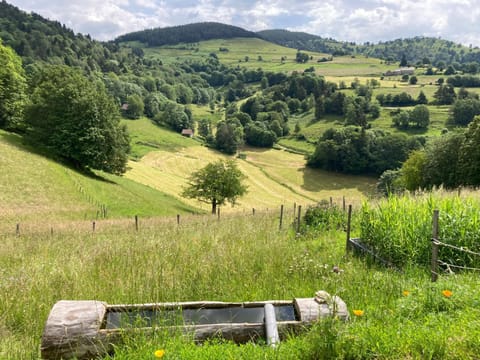 Au croque nature House in Orbey