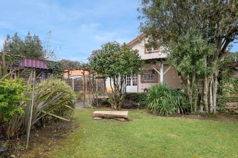 Patio, Garden, Garden view