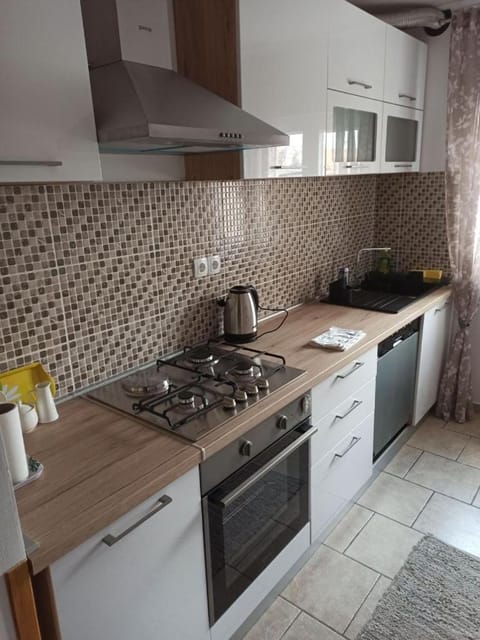 Apartment Jazz Apartment in Brod-Posavina County, Croatia