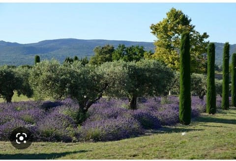 Le Balcon de Gordes Bed and Breakfast in Goult