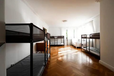 Bed, Photo of the whole room, Bedroom, bunk bed