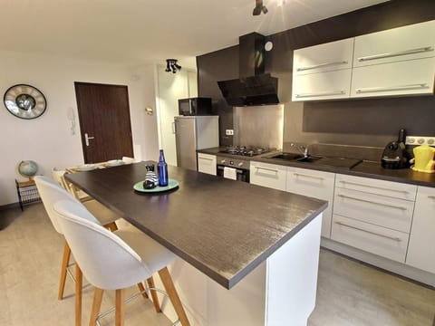 Charmant Appart avec Garage et Terrasse au Coeur de Colmar, près de la Route des Vins d'Alsace - FR-1-722-6 Apartment in Colmar