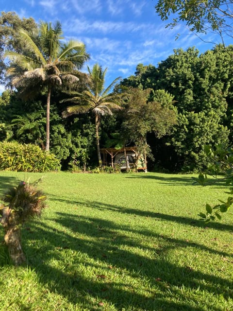 House of Light Sanctuary Vacation rental in Hilo