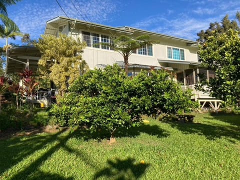 Property building, Garden view