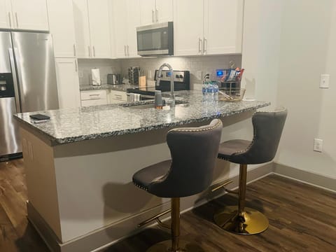 The luxurious buckhead stay Apartment in Buckhead