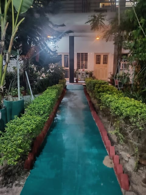 Night, Garden view